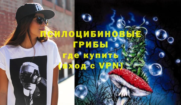 mix Горнозаводск
